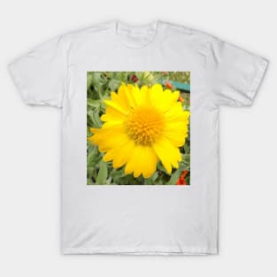 Yellow Daisy T-Shirt